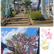 ヒメ日記 2025/04/15 09:54 投稿 あかね モアグループ川越人妻花壇