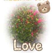 ヒメ日記 2025/04/23 15:56 投稿 あかね モアグループ川越人妻花壇