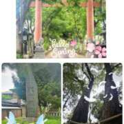 ヒメ日記 2025/04/28 16:20 投稿 あかね モアグループ川越人妻花壇