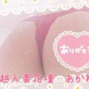 ヒメ日記 2025/05/11 19:32 投稿 あかね モアグループ川越人妻花壇