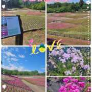 ヒメ日記 2025/05/29 17:27 投稿 あかね モアグループ川越人妻花壇