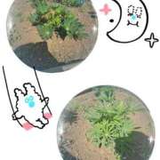 ヒメ日記 2025/06/13 15:07 投稿 あかね モアグループ川越人妻花壇