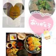 ヒメ日記 2025/06/15 07:00 投稿 あかね モアグループ川越人妻花壇