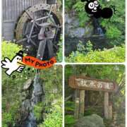 ヒメ日記 2025/06/25 12:21 投稿 あかね モアグループ川越人妻花壇