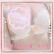 ヒメ日記 2025/07/05 21:03 投稿 あかね モアグループ川越人妻花壇