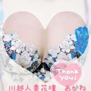 ヒメ日記 2025/07/31 00:42 投稿 あかね モアグループ川越人妻花壇