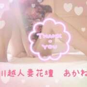 ヒメ日記 2025/08/10 08:00 投稿 あかね モアグループ川越人妻花壇