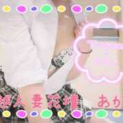 ヒメ日記 2025/08/15 00:57 投稿 あかね モアグループ川越人妻花壇