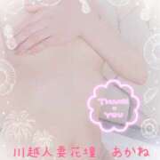 ヒメ日記 2025/08/31 01:12 投稿 あかね モアグループ川越人妻花壇