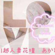 ヒメ日記 2025/09/07 00:16 投稿 あかね モアグループ川越人妻花壇