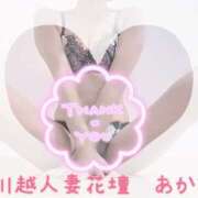 ヒメ日記 2025/09/07 20:57 投稿 あかね モアグループ川越人妻花壇