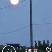 ヒメ日記 2025/09/08 07:00 投稿 あかね モアグループ川越人妻花壇