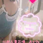 ヒメ日記 2025/09/23 23:24 投稿 あかね モアグループ川越人妻花壇