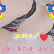 ヒメ日記 2025/10/19 12:38 投稿 あかね モアグループ川越人妻花壇