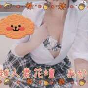 ヒメ日記 2025/10/25 09:16 投稿 あかね モアグループ川越人妻花壇