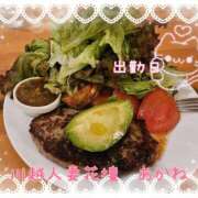 ヒメ日記 2025/11/24 18:25 投稿 あかね モアグループ川越人妻花壇