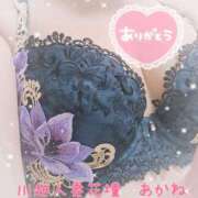 ヒメ日記 2025/11/30 18:59 投稿 あかね モアグループ川越人妻花壇