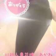 ヒメ日記 2025/12/08 21:52 投稿 あかね モアグループ川越人妻花壇