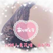 ヒメ日記 2025/12/29 07:00 投稿 あかね モアグループ川越人妻花壇