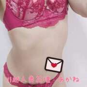 ヒメ日記 2026/02/01 10:30 投稿 あかね モアグループ川越人妻花壇