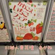 ヒメ日記 2026/03/02 11:47 投稿 あかね モアグループ川越人妻花壇