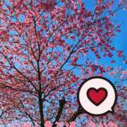 ヒメ日記 2026/03/08 23:25 投稿 あかね モアグループ川越人妻花壇