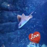 ヒメ日記 2026/03/12 21:38 投稿 あかね モアグループ川越人妻花壇