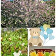 ヒメ日記 2026/04/17 20:51 投稿 あかね モアグループ川越人妻花壇