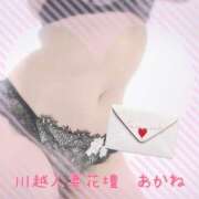 ヒメ日記 2026/05/04 10:15 投稿 あかね モアグループ川越人妻花壇