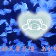 ヒメ日記 2026/05/09 00:02 投稿 あかね モアグループ川越人妻花壇