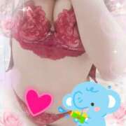 ヒメ日記 2026/05/17 00:35 投稿 あかね モアグループ川越人妻花壇