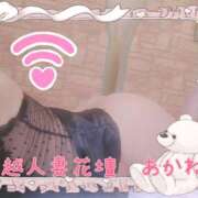 ヒメ日記 2026/08/29 00:05 投稿 あかね モアグループ川越人妻花壇