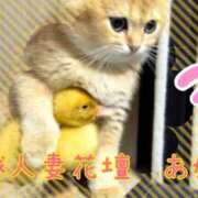 ヒメ日記 2026/09/02 22:43 投稿 あかね モアグループ川越人妻花壇