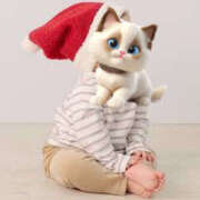 ヒメ日記 2024/12/25 10:20 投稿 ひめか もしも素敵な妻が指輪をはずしたら・・・