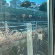 ヒメ日記 2025/01/15 09:30 投稿 ほのか 小田原人妻城