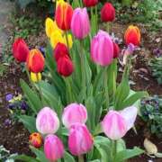 ヒメ日記 2025/01/23 09:21 投稿 ほのか 小田原人妻城