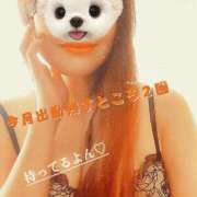 ヒメ日記 2025/01/25 08:16 投稿 ほのか 小田原人妻城