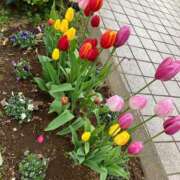 ヒメ日記 2025/01/27 09:15 投稿 ほのか 小田原人妻城