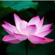 ヒメ日記 2025/01/29 07:39 投稿 ほのか 小田原人妻城