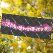 ヒメ日記 2025/03/12 09:18 投稿 ほのか 小田原人妻城