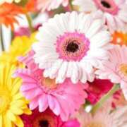 ヒメ日記 2025/03/25 09:27 投稿 ほのか 小田原人妻城