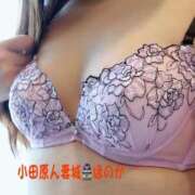 ヒメ日記 2025/07/23 09:34 投稿 ほのか 小田原人妻城