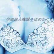 ヒメ日記 2025/07/29 11:06 投稿 ほのか 小田原人妻城