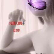 ヒメ日記 2025/08/23 18:08 投稿 ほのか 小田原人妻城