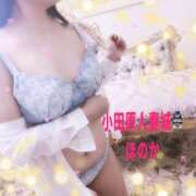 ヒメ日記 2025/09/05 15:05 投稿 ほのか 小田原人妻城