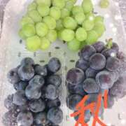 ヒメ日記 2025/09/11 21:05 投稿 ほのか 小田原人妻城