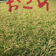 ヒメ日記 2025/09/17 11:06 投稿 ほのか 小田原人妻城