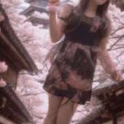 ヒメ日記 2025/10/11 20:06 投稿 ほのか 小田原人妻城