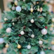 ヒメ日記 2025/11/19 09:18 投稿 ほのか 小田原人妻城