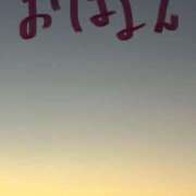 ヒメ日記 2025/11/22 06:16 投稿 ほのか 小田原人妻城